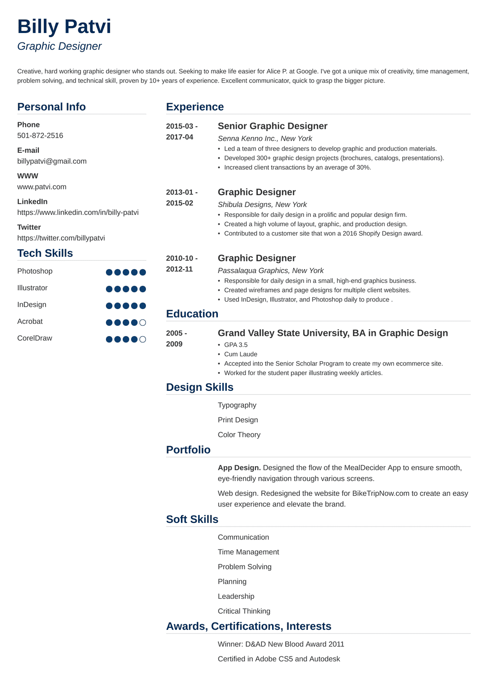 Graphic Designer Resume Examples Cv Template