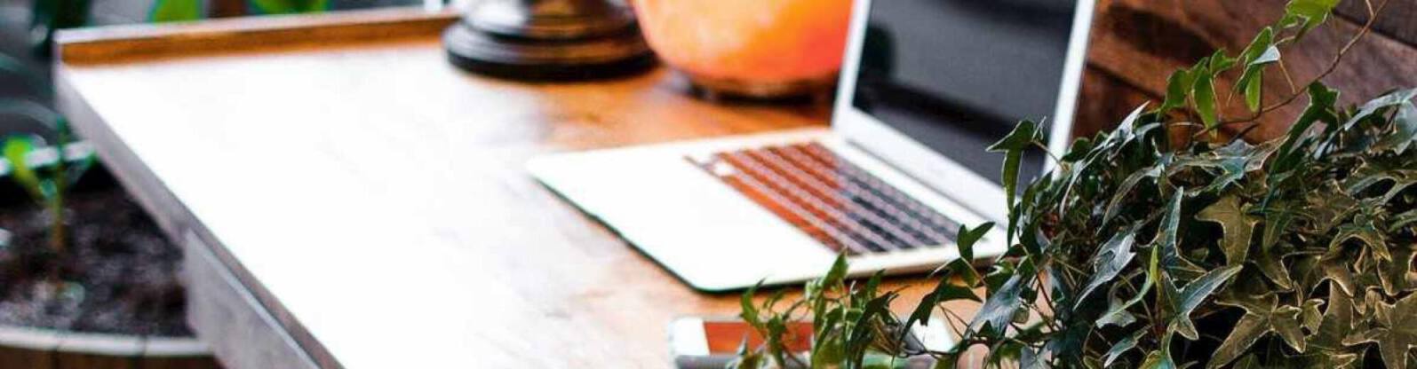 Hotel Front Desk Resume Sample & Complete Guide (25 Tips)