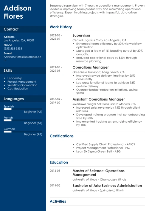 sample resume example