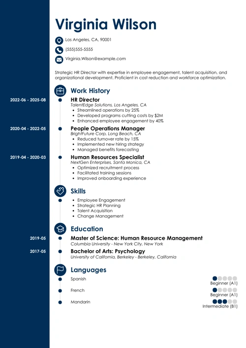 hr director resume example