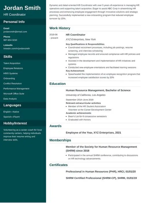 sample resume example