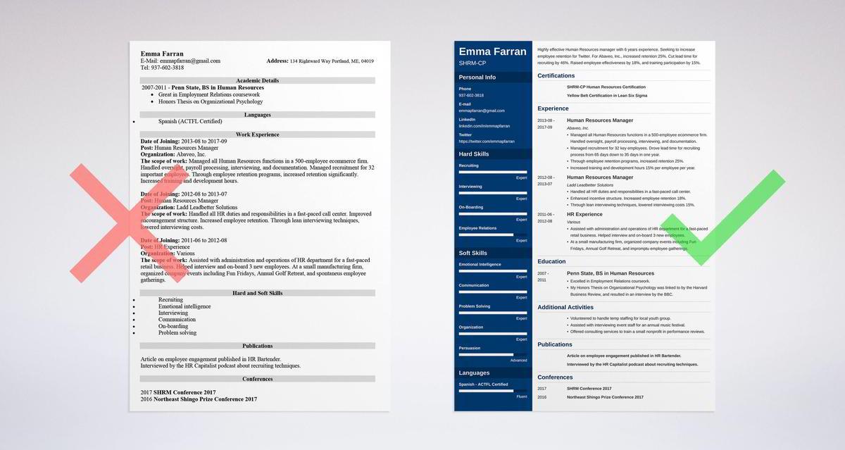 Human Resources Resume Sample Writing Guide 20 Examples
