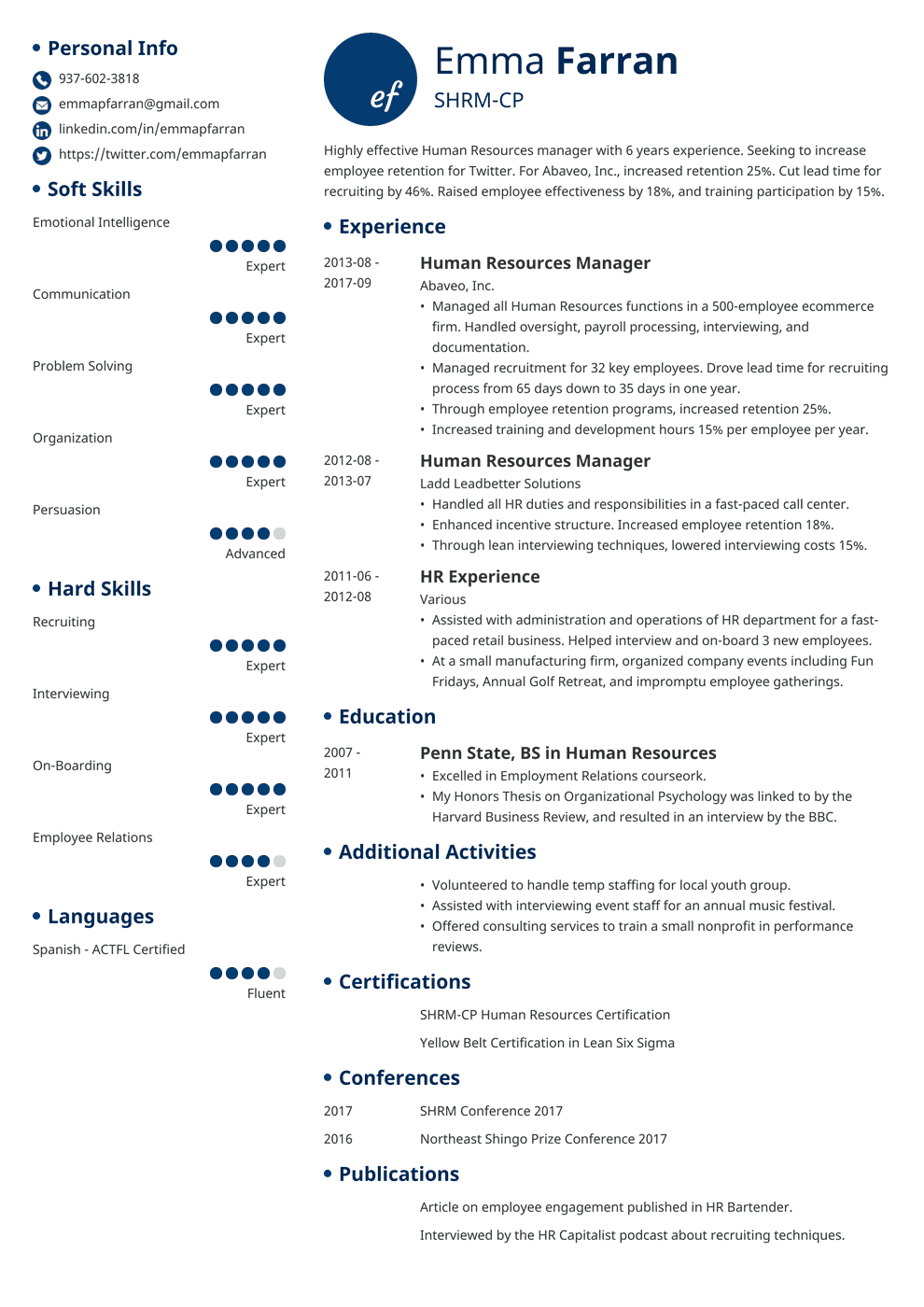 Professional Curriculum Vitae Resume Template Sample