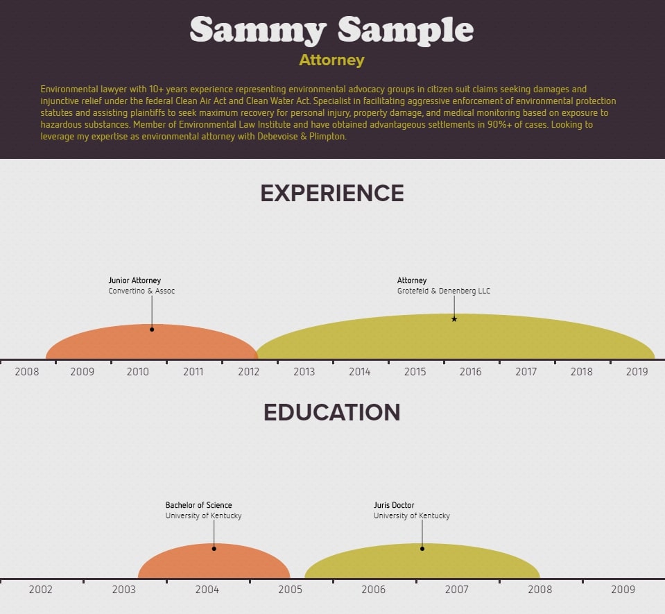 infographic video resume