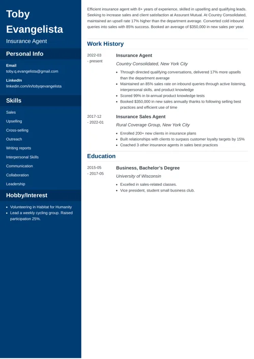 Insurance Agent Resume Sample