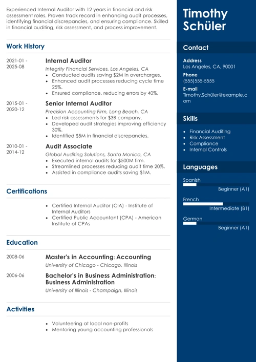 internal auditor resume example