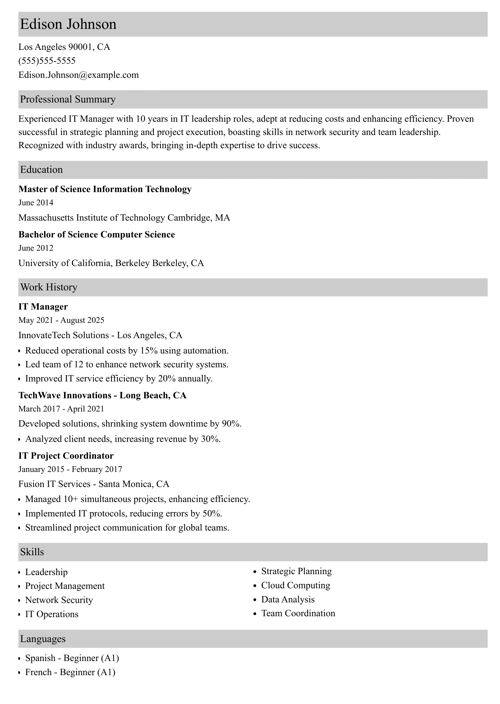 It manager resume example