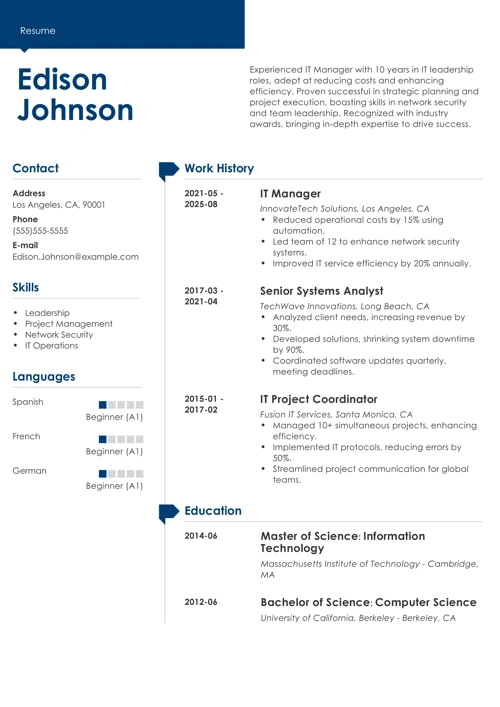 It manager resume example