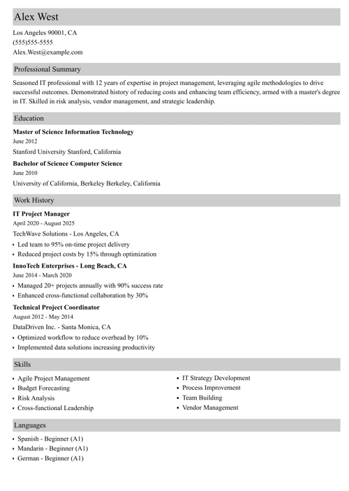 IT Project Manager Resume Sample