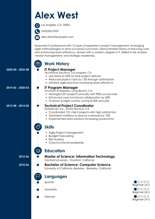 IT Project Manager Resume Sample