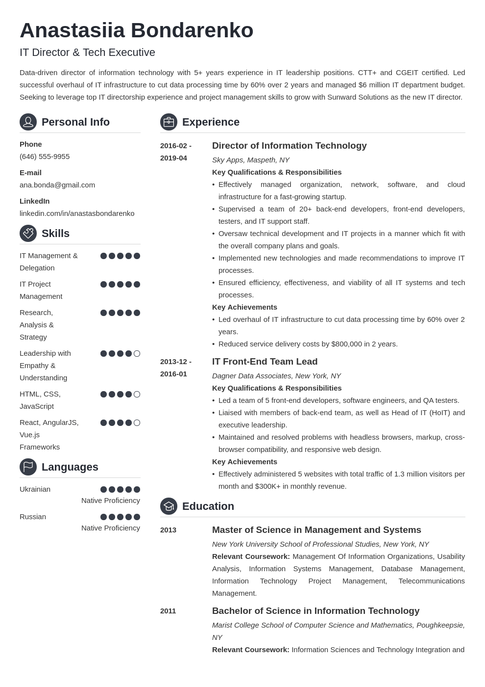 it director resume example template crisp