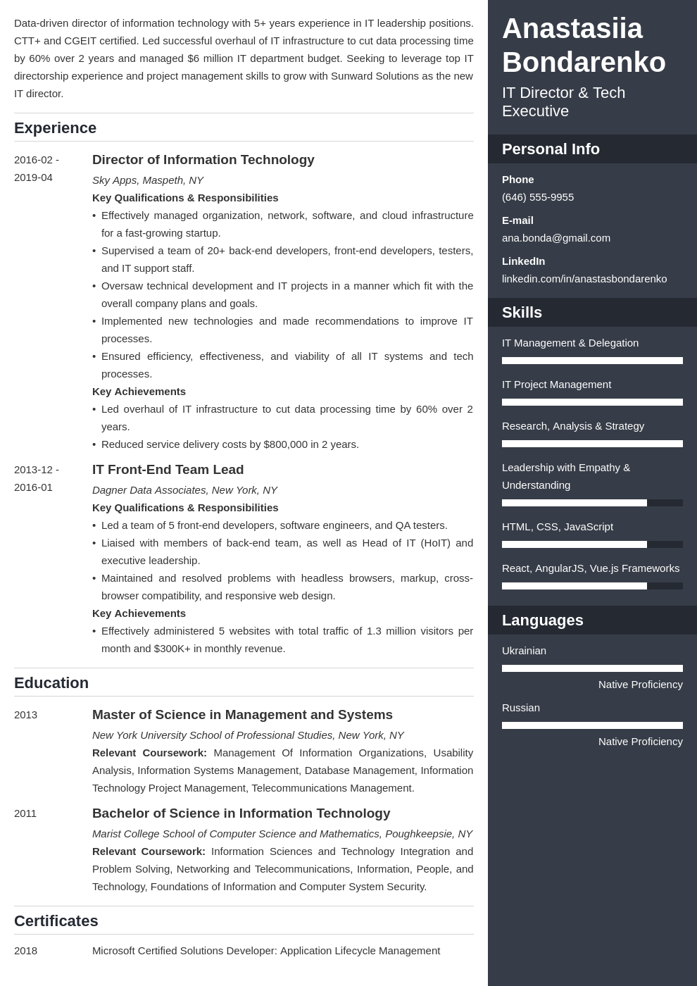 it director resume example template enfold