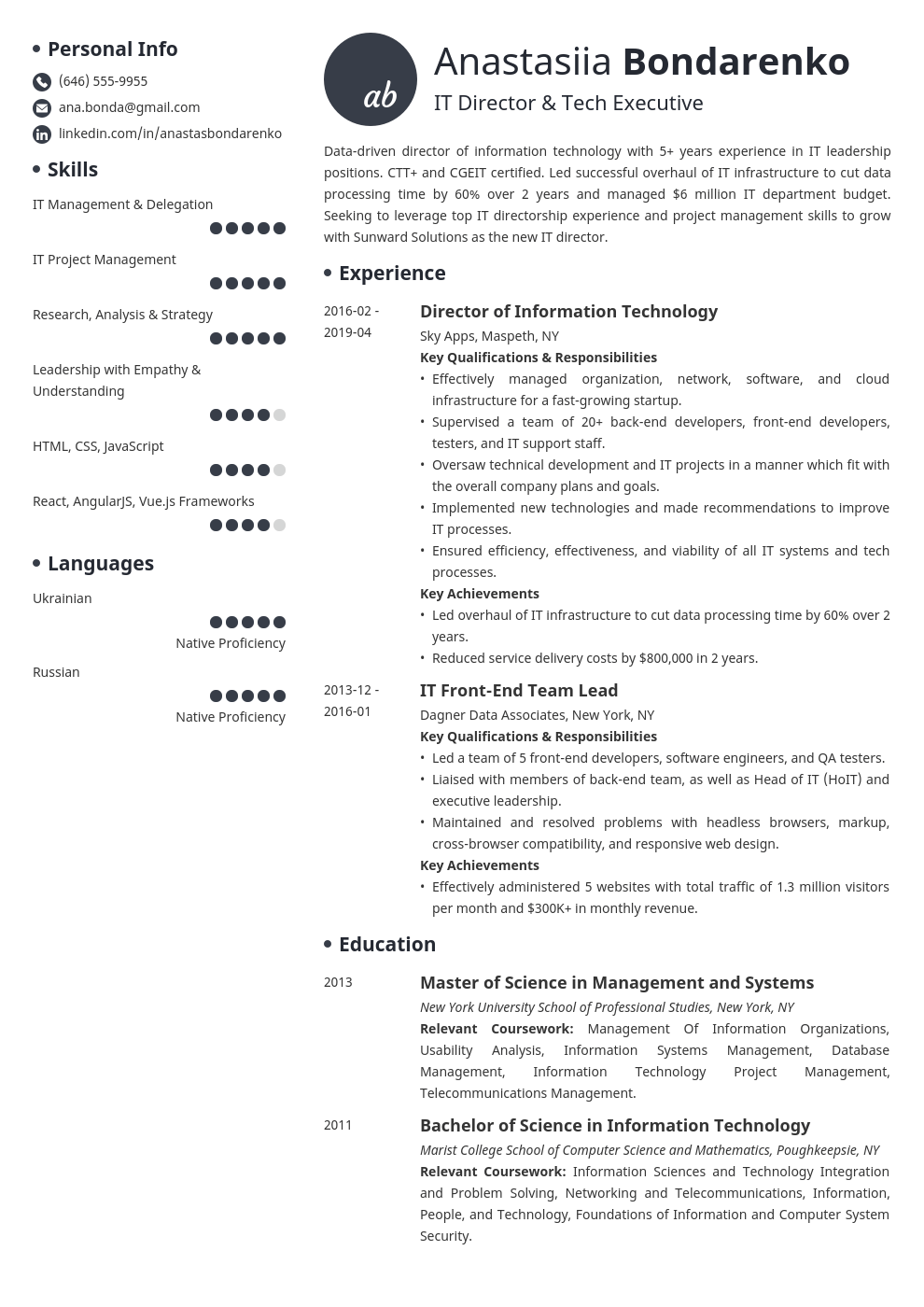 it director resume example template initials