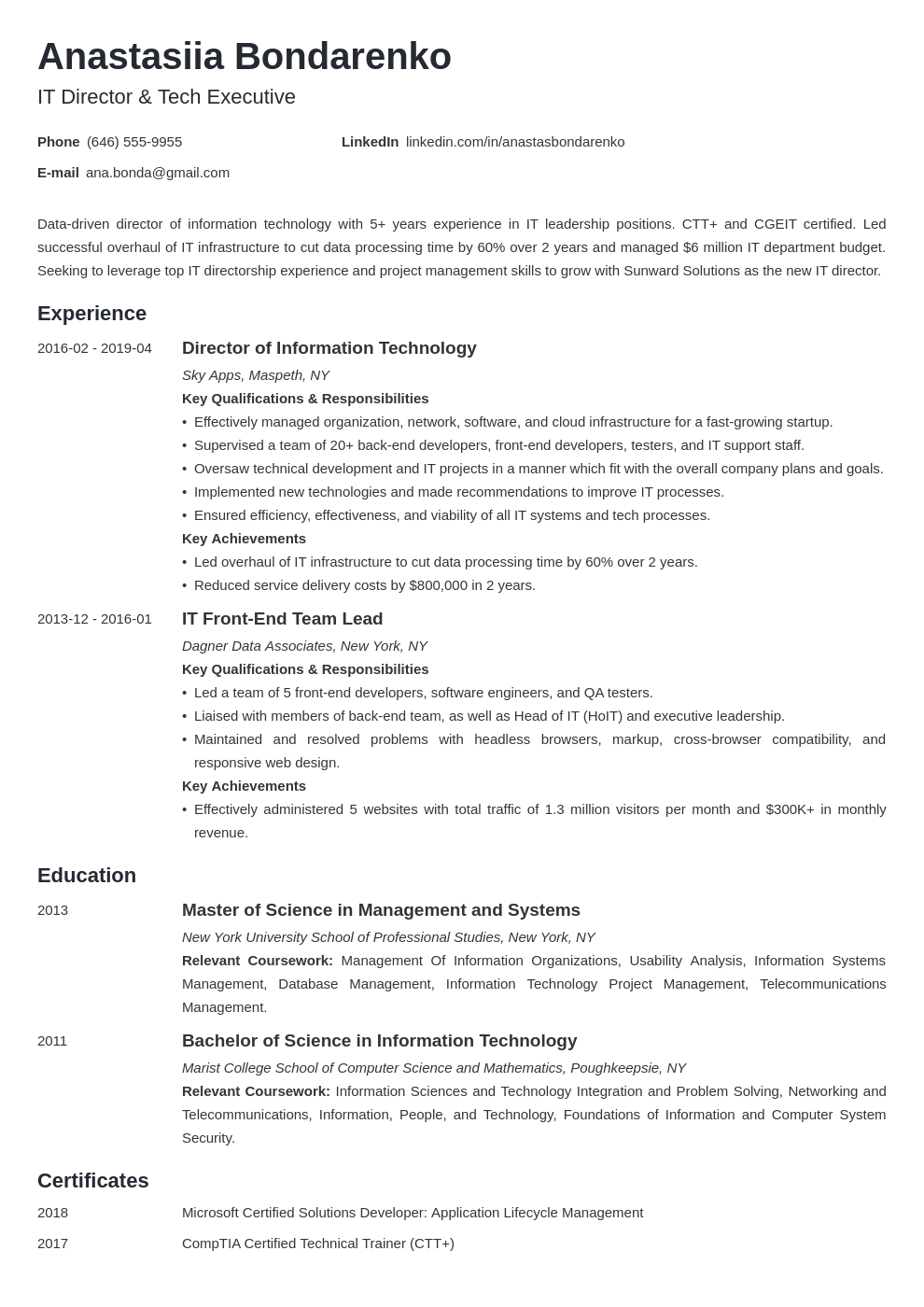 it director resume example template minimo