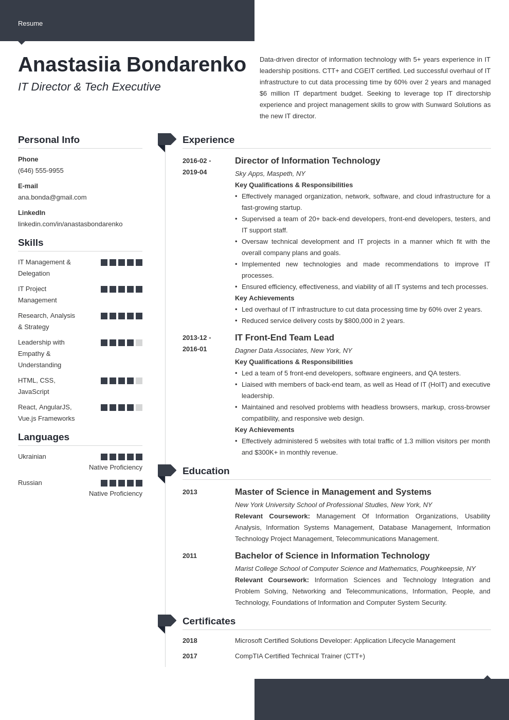 it director resume example template modern