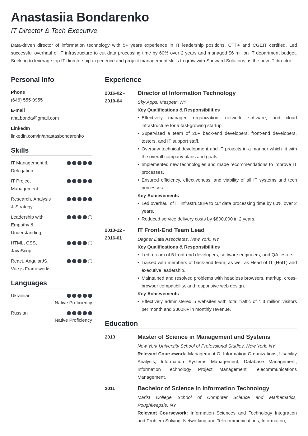 it director resume example template simple