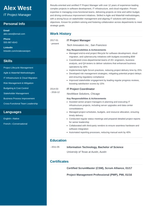 IT Project Manager Resume Sample