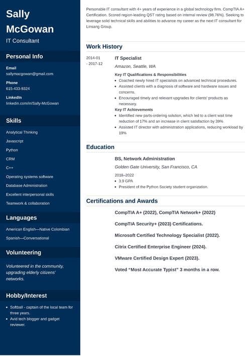 IT resume example