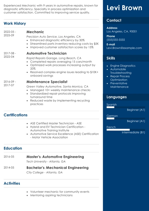 sample resume example