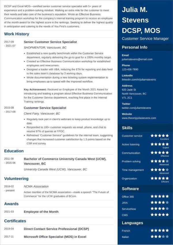 professional resume layout