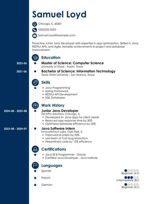 junior java developer resume example