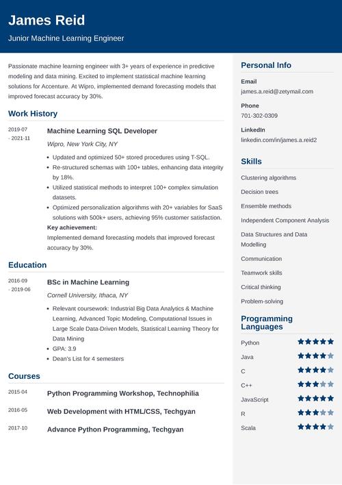 sample resume example