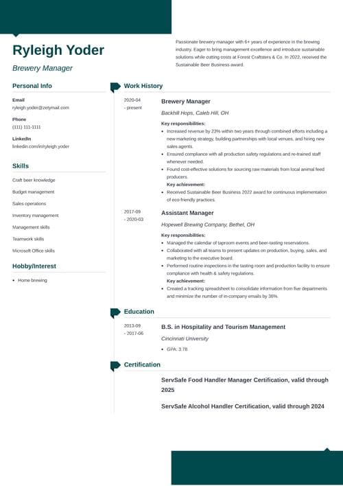 Sample resume made with Zety