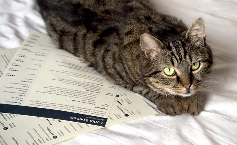 Is It Illegal to Lie on a Resume in 2025?