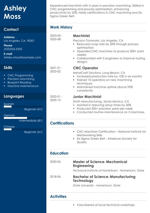 sample resume example