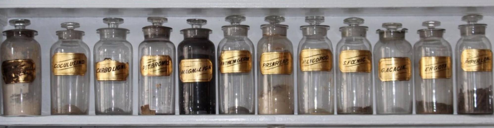 Pharmacist Resume Template (Examples, Skills & More)