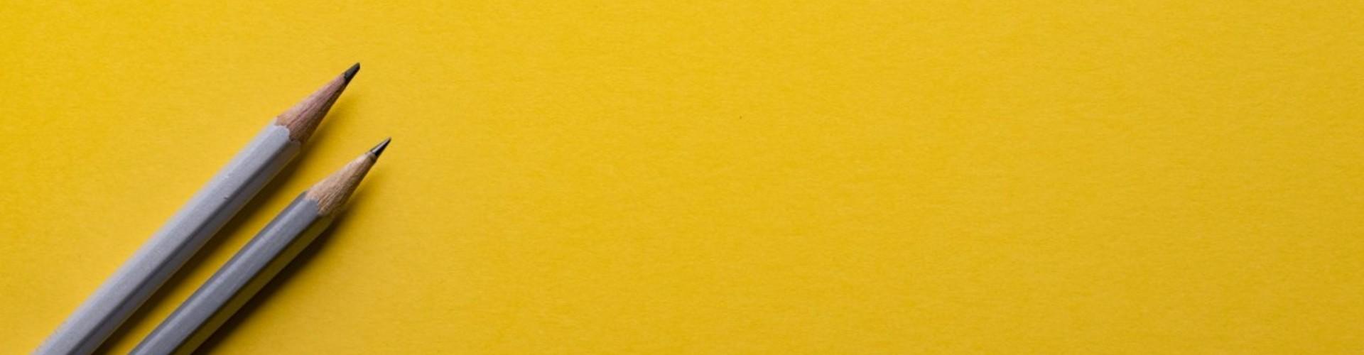 Graphic Designer Resume Examples + Best Design in 2025