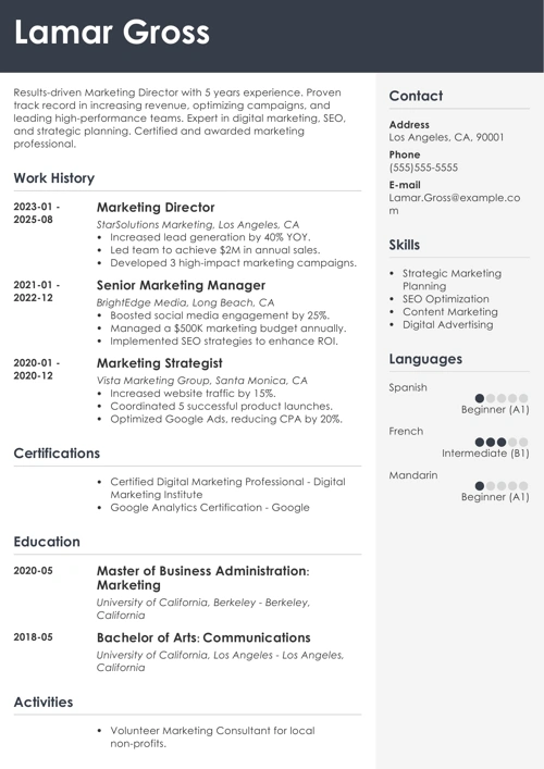sample resume example