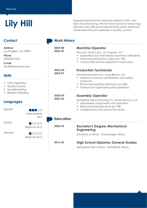 sample resume example