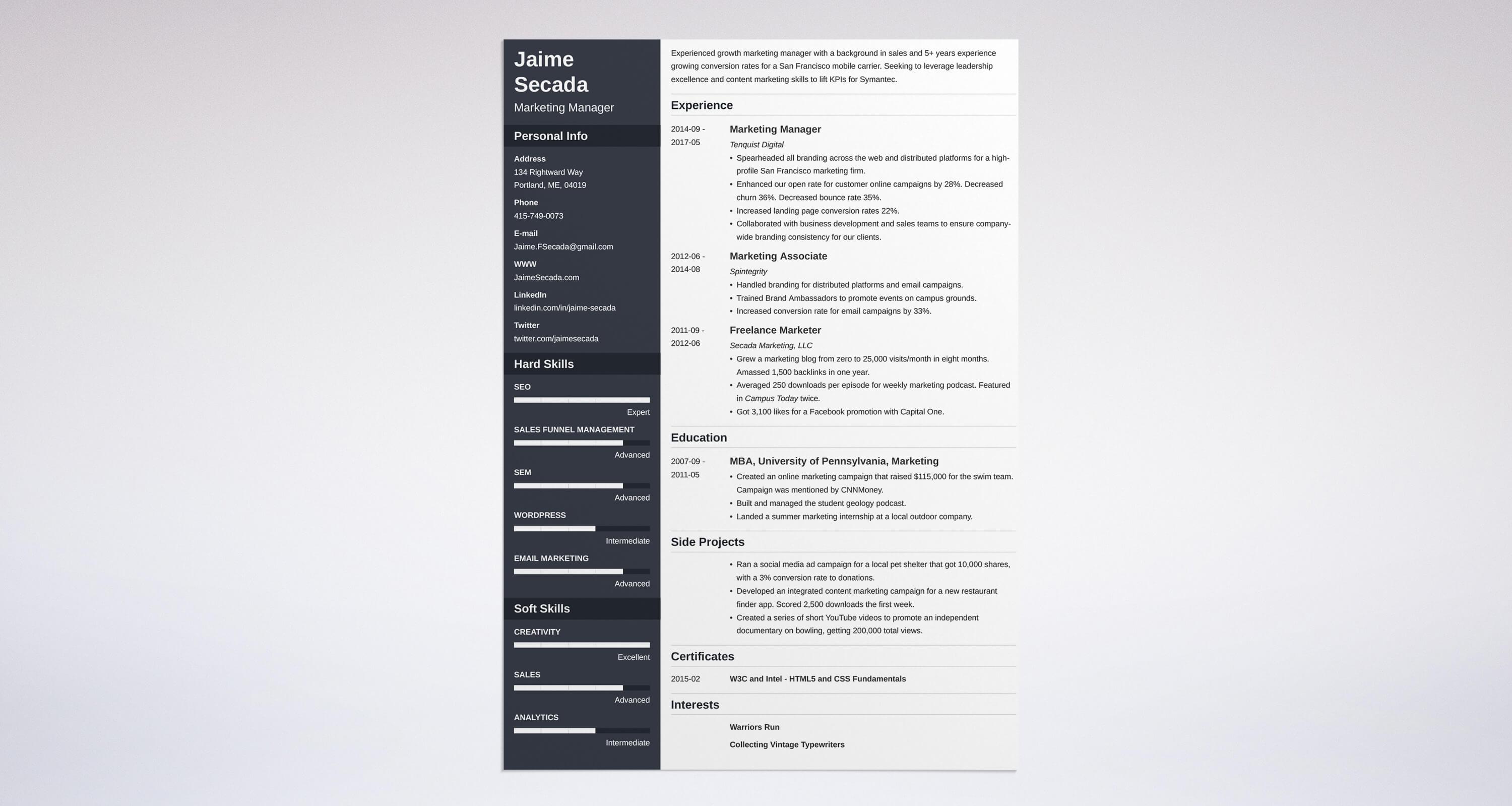 10 Marketing Resume Examples Best Templates Expert Tips