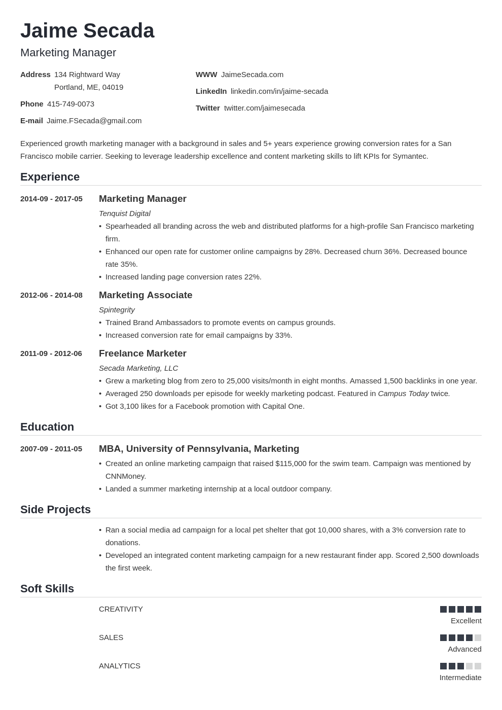 marketing resume template nanica