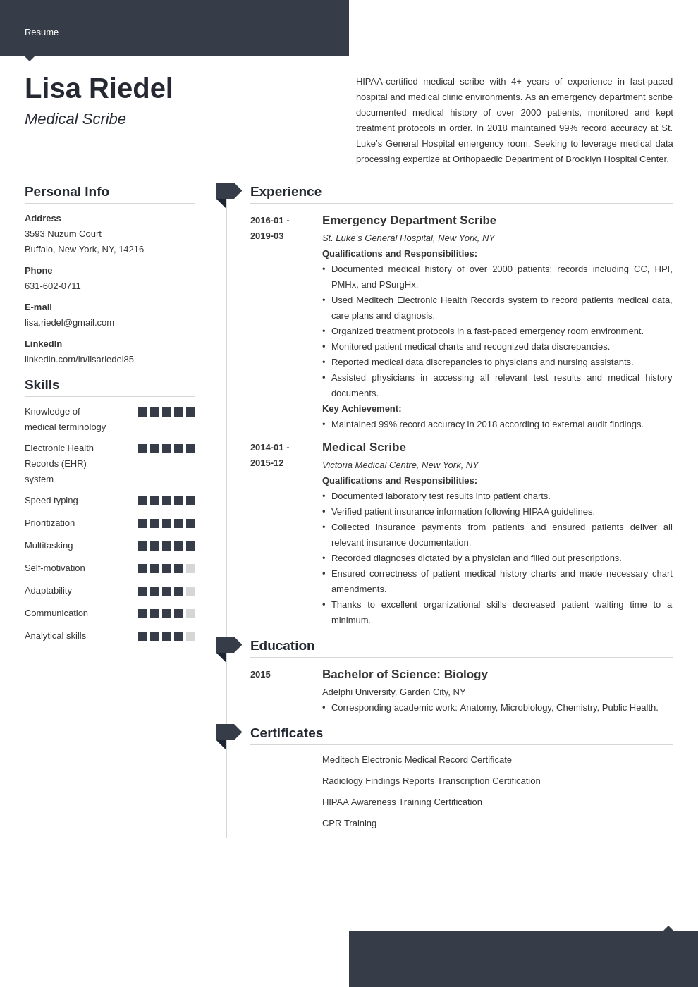 medical scribe resume example template modern