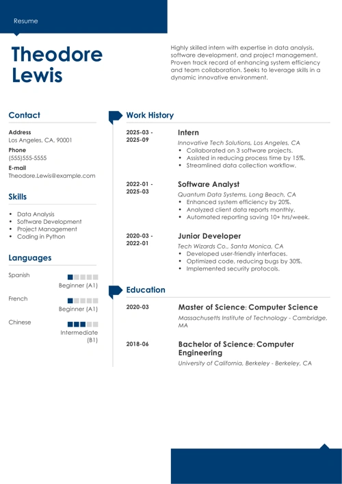 sample resume example