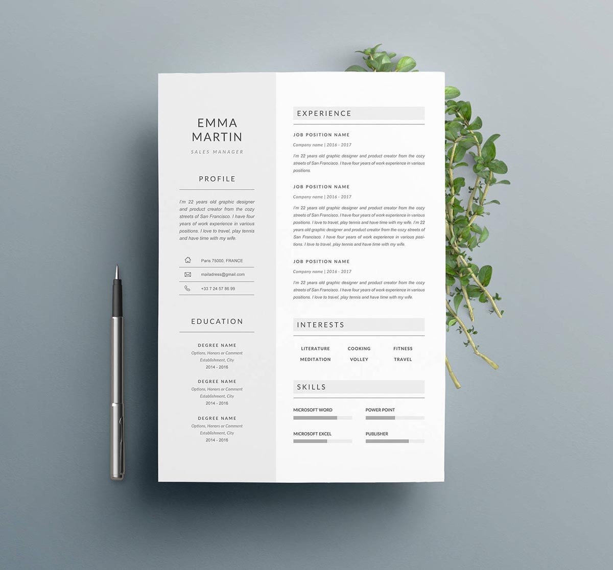 simple modern resume template free