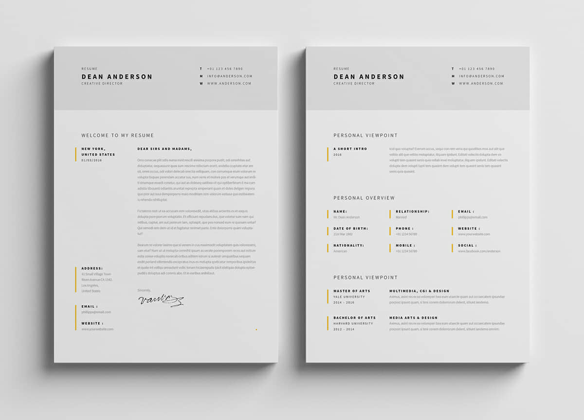 chronological resume minimalist design template