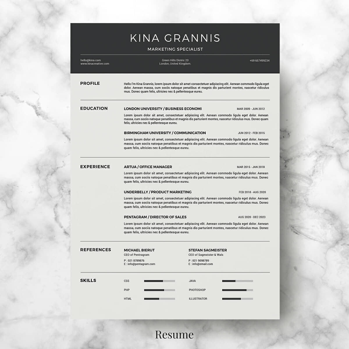 free modern minimal resume template download