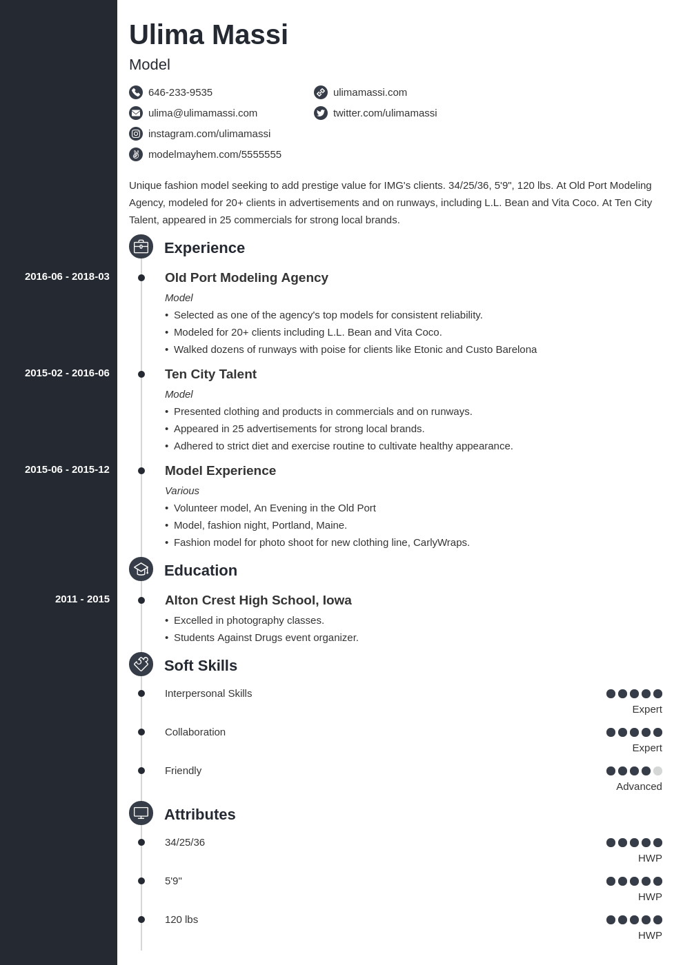 model resume example template concept