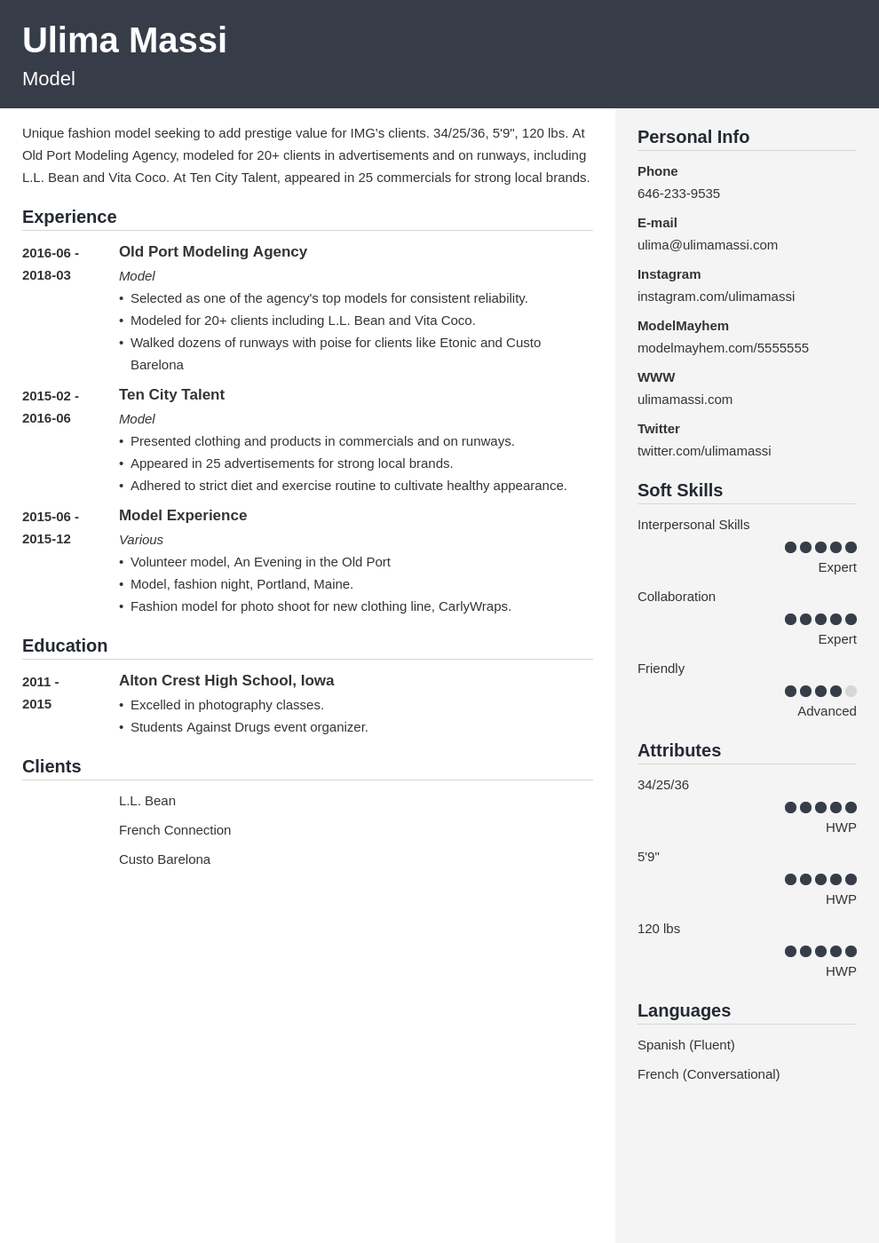 model resume example template cubic