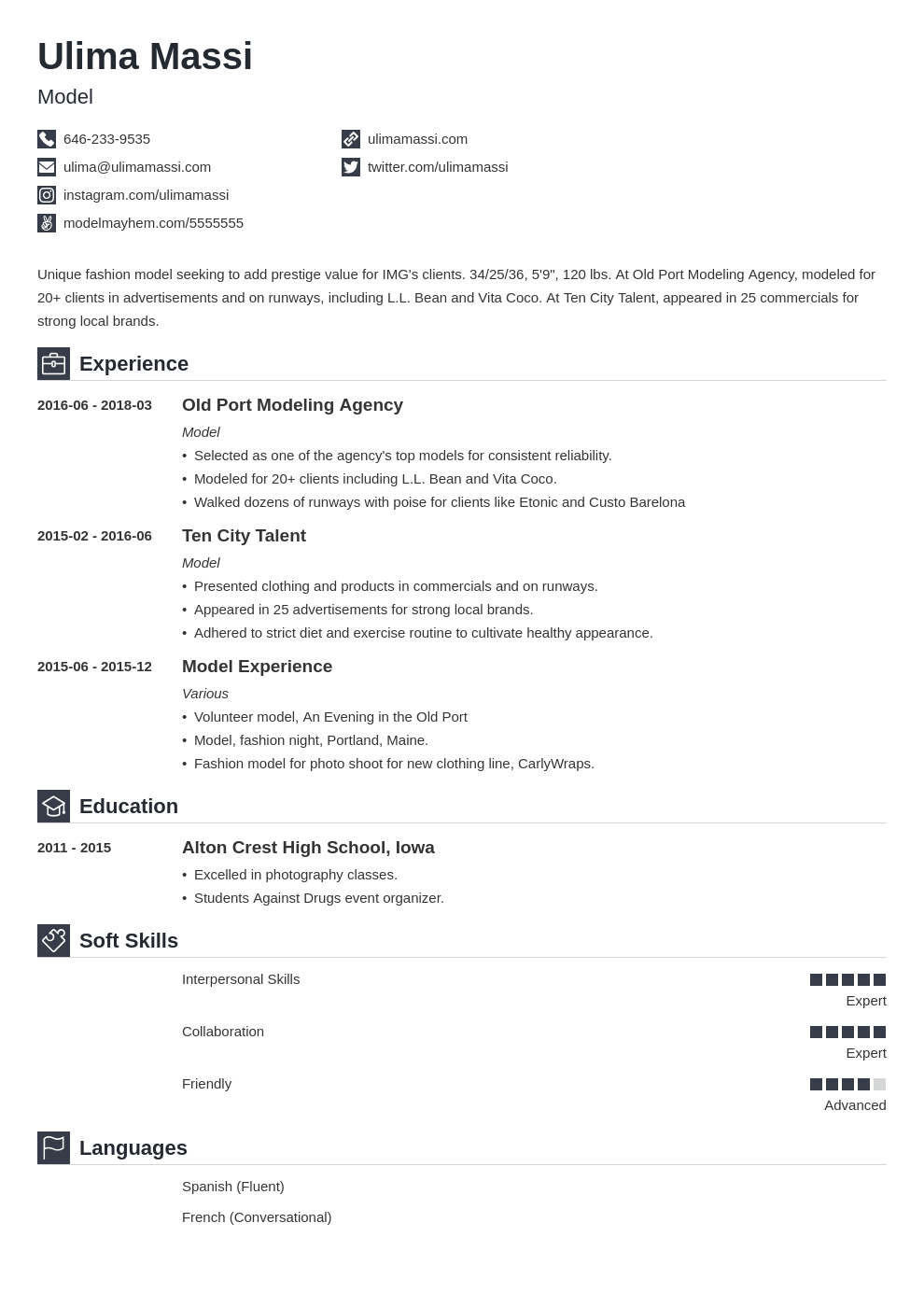 model resume example template iconic