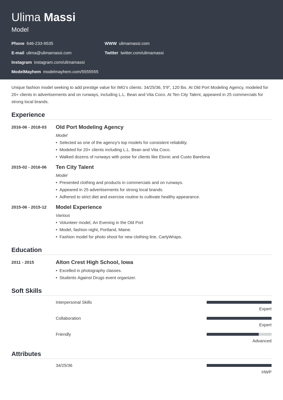 model resume example template influx