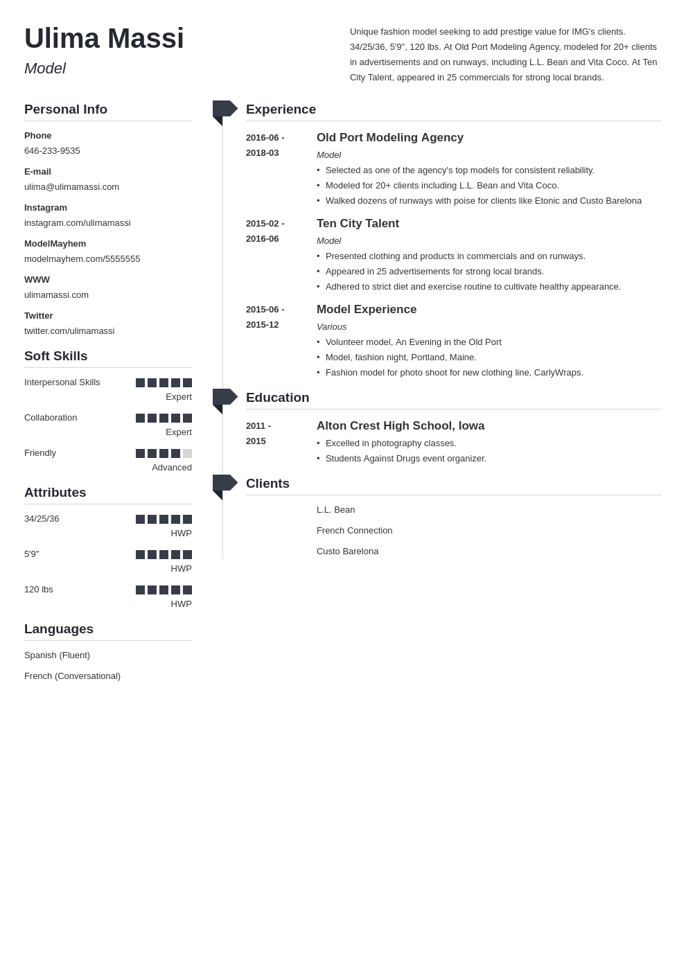 model resume example template muse