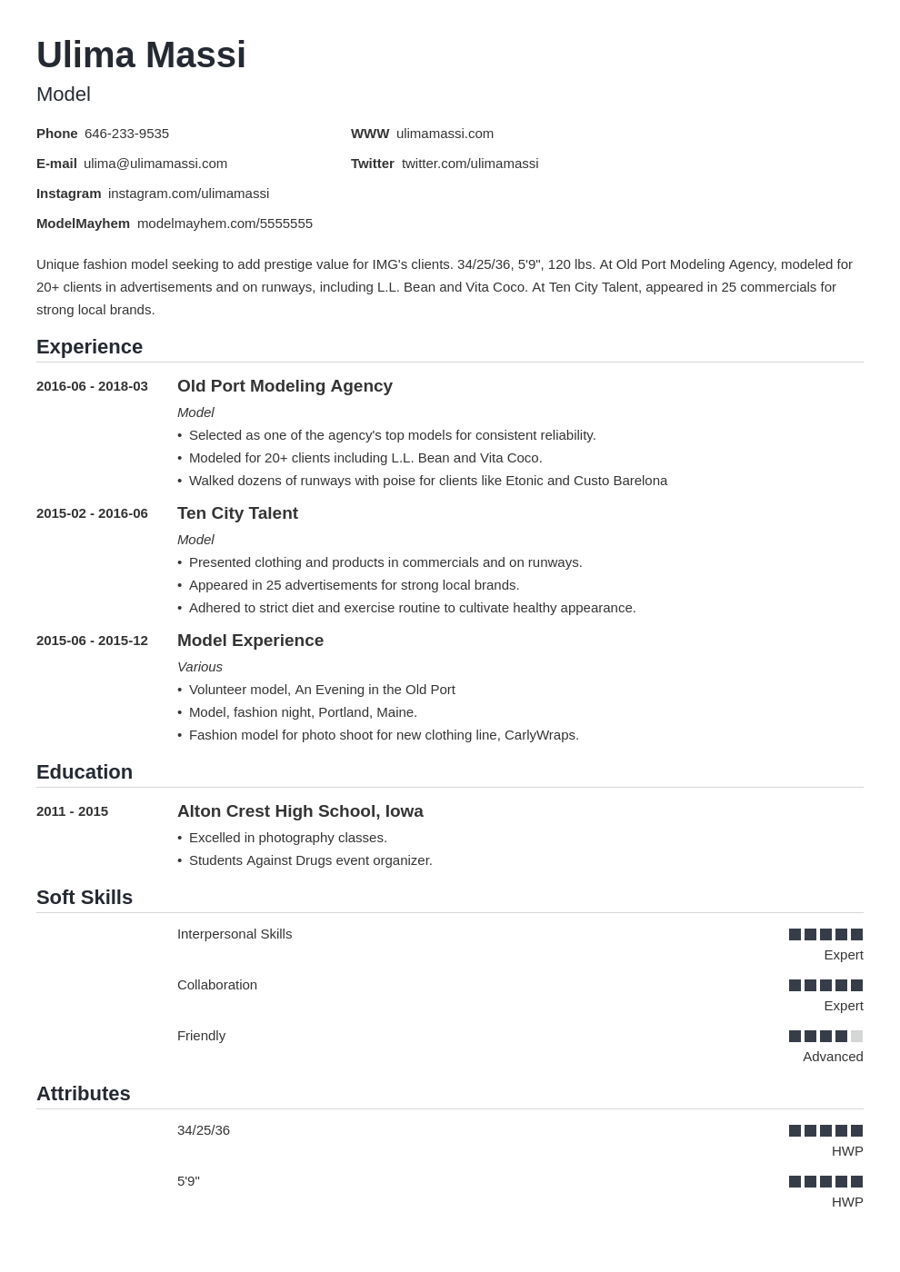 model resume example template nanica