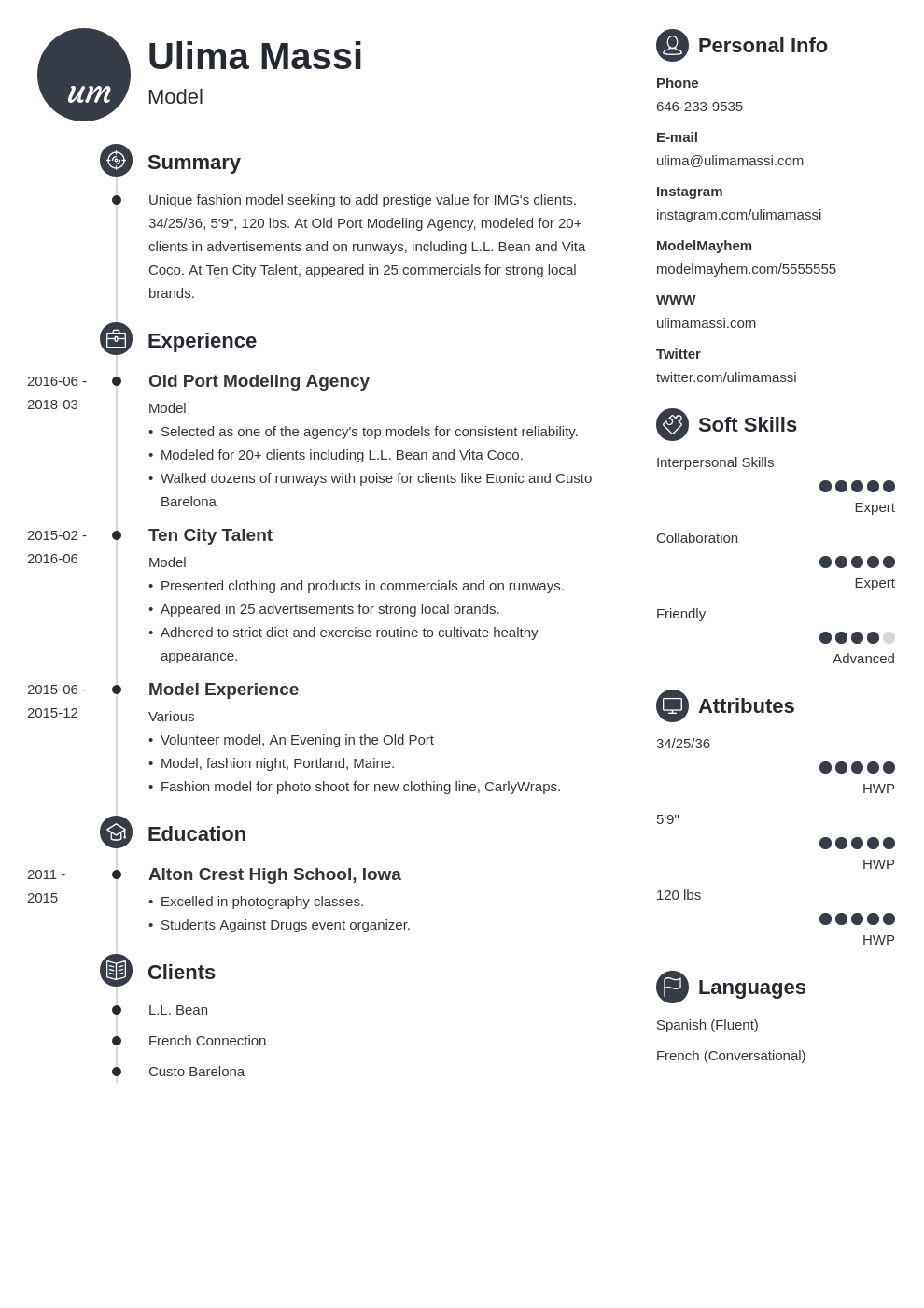 model resume example template primo