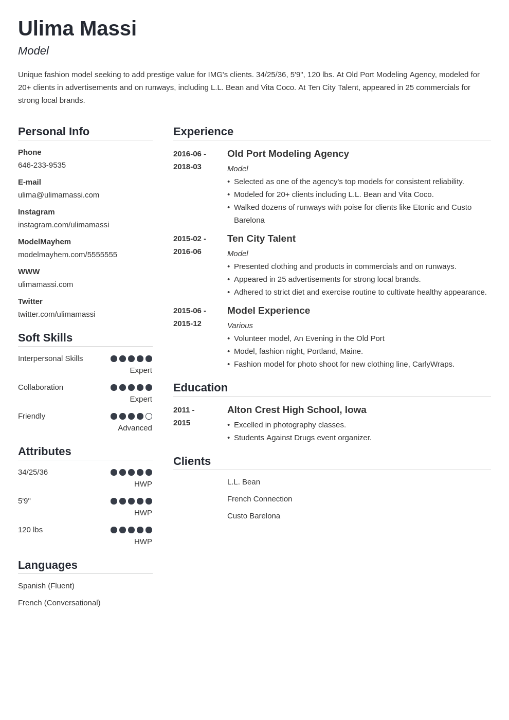 model resume example template simple