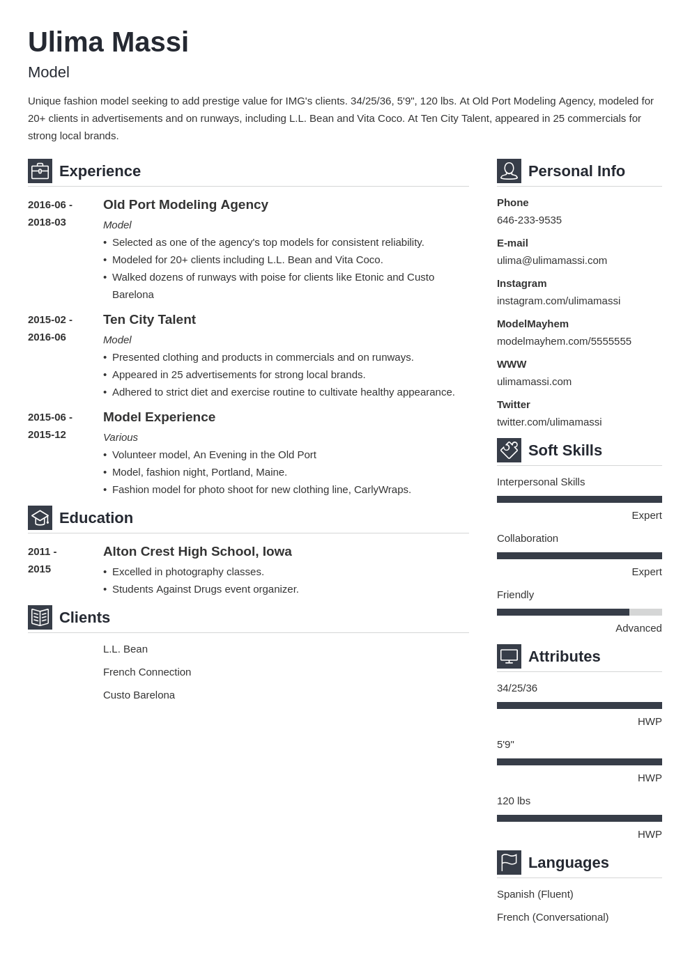 model resume example template vibes