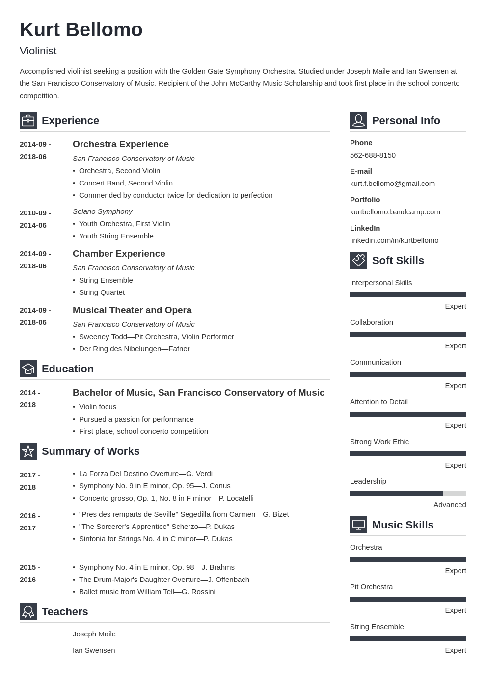 music resume example template vibes